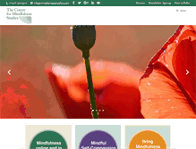 Tablet Screenshot of mindfulnessstudies.com